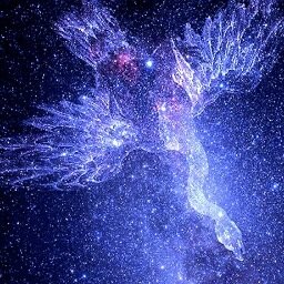 kygnus_music's profile picture. 東京在住technoバンド。 K: Vo/Ba/systems、O: Cho/Gt/systems。制作・出演依頼随時受付。詳しくはHPで！ Movie→ https://t.co/QdmGixADE9  Kはニュー歌謡バンド「斉藤ネヲンサイン」にもベーシストで参加中。