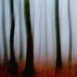 Impressionist photographer http://t.co/Plr2u2b1il