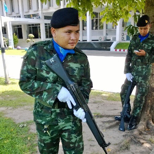 ทหารของแผ่นดิน