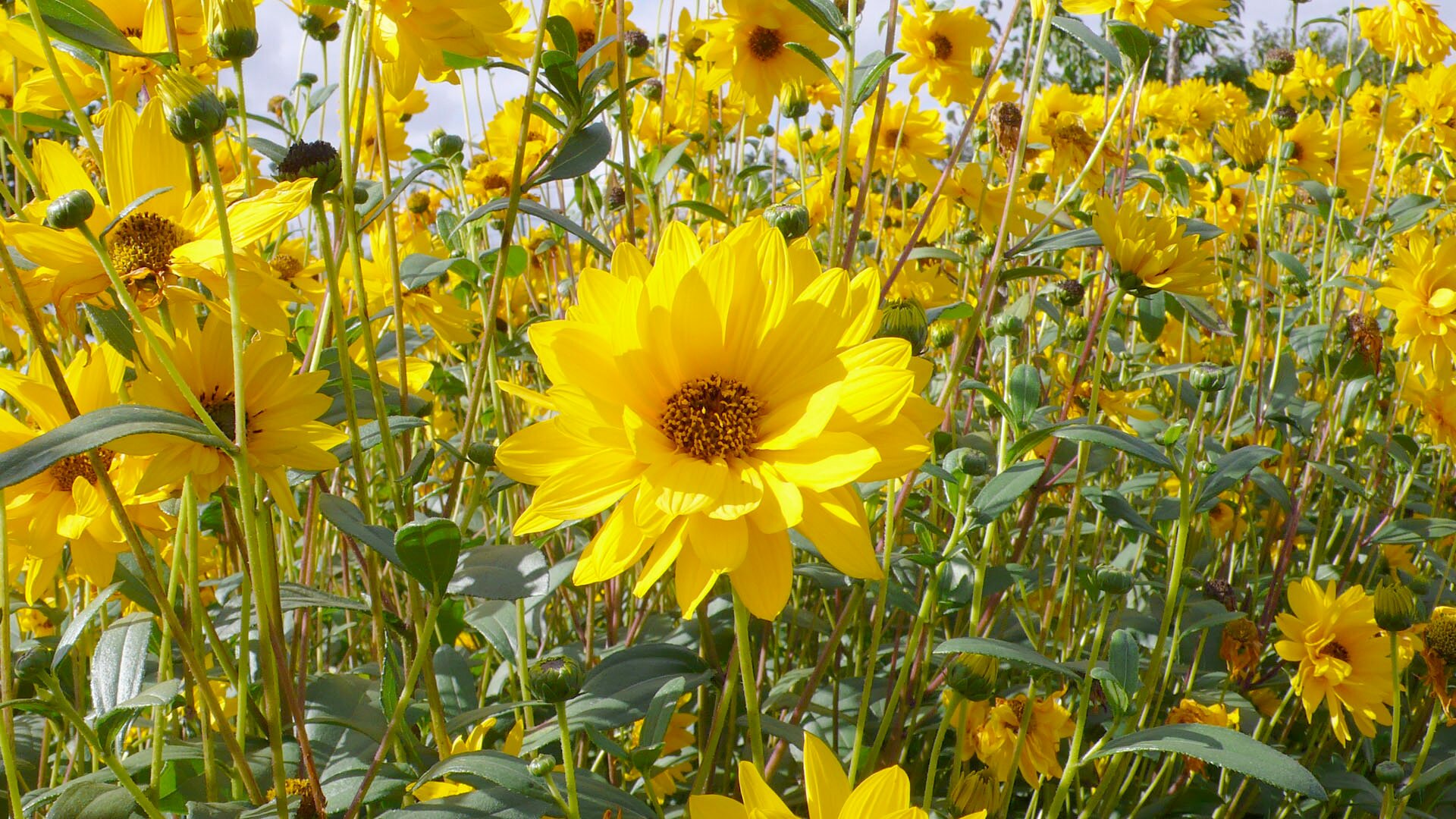 MichWardrobe's profile picture. A mommy who adores her teens, sells online cute children apparel, baby attire, accessories and baby products. Affordable. Fast delivery.
https://t.co/QPF0ENWh5X