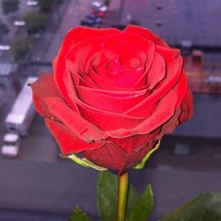 Reema_Alfandi's profile picture. مشاركة |هواجس |توثيق |قراءات |مهتمه بـ العلم، الصحة النفسية،الادمان و تحسين جودة الحياة| "لستَ قطرةَ ماءٍ في محيط بل أنت محيطٌ بأكمله في قطرة ماءٍ واحدة".الرومي