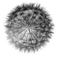 SLC_SW's profile picture. Science Learning Centre Consortium South West. News views and CPD from the South West.