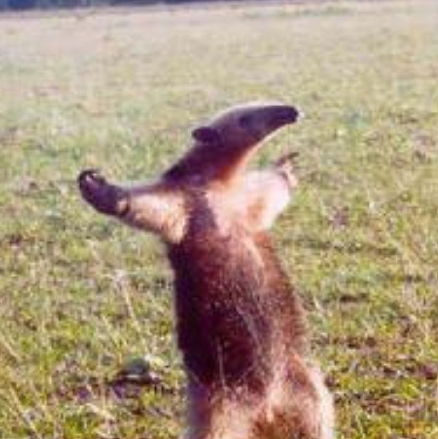 schoolisalot's profile picture. Is school today?