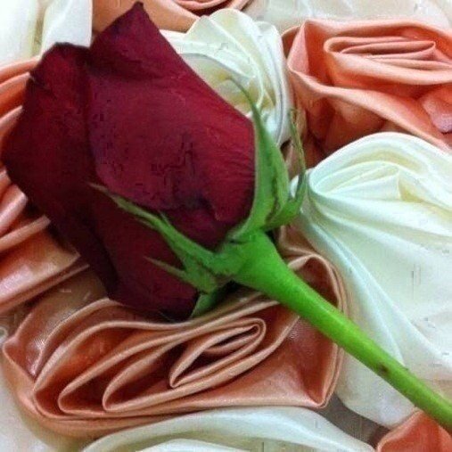 WhatsAppcode162's profile picture. 