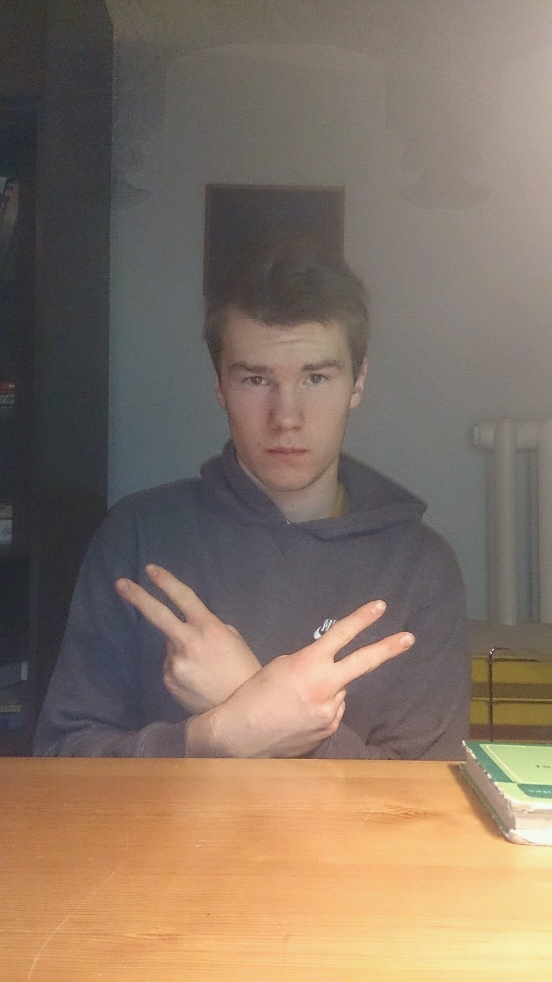 Es mīlu rozā ziloņus