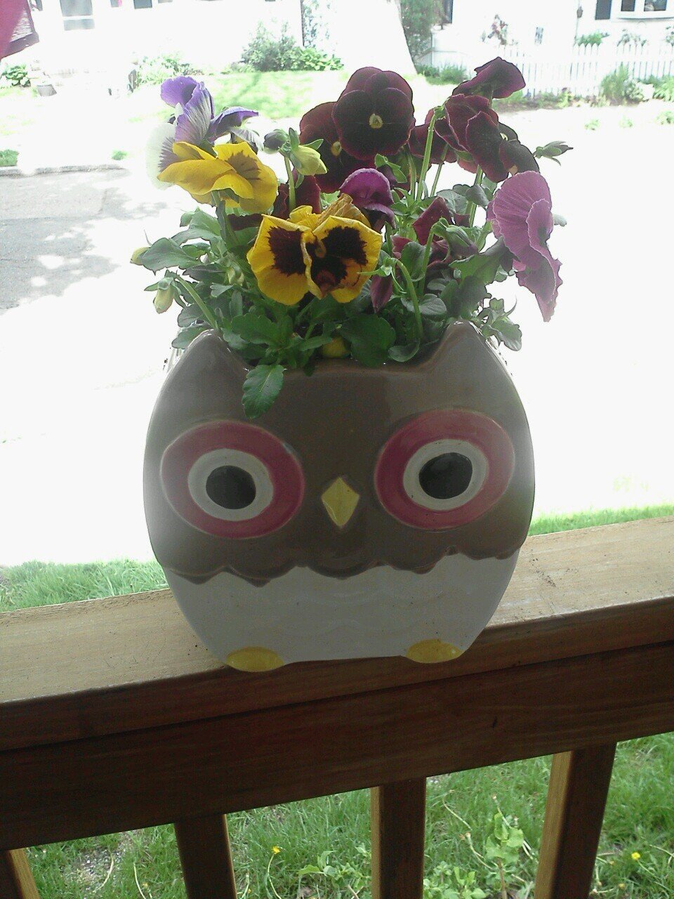 nancezesch's profile picture. Boston...you're my home!