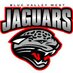 BVW Counseling (@bvwcounseling) Twitter profile photo