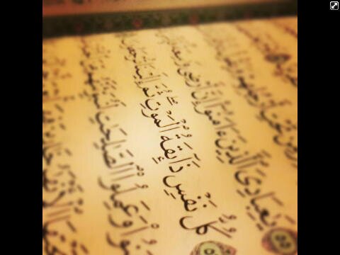 لا تنسئ نصيبك من الوتر وإن كان يسيرا