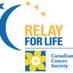 HBK Relay For Life (@KingsRelay4Life) Twitter profile photo