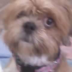 PleasehelpBuddy's profile picture. 