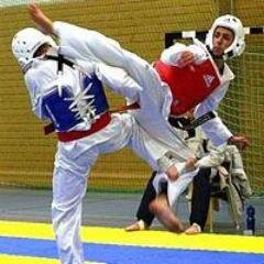 Izmir Professional Taekwondo Player.
