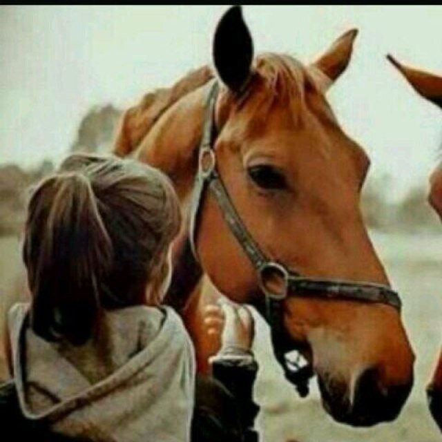اللّهُم لا ترد لنا دعوة ولا تُخيب لَنا رجاء ، وبَلغنا الغايات وحقق لنا الأمنيات ، وأصلح لنا النّيات يَارب العَالمين . عذراً الخاص مهمل