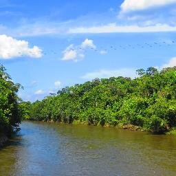 Healing Bridges (D.C.) works directly with the curacas (shamans) of the Kofan indigenous people to protect their land and way of life from outside encroachment.