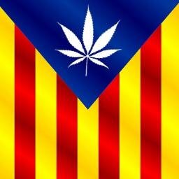 NazionalistaCat Profile Picture