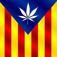 Nazionalista (@nazionalistacat) 's Twitter Profile Photo