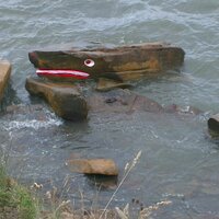 Peeks (@peeks365) 's Twitter Profile Photo