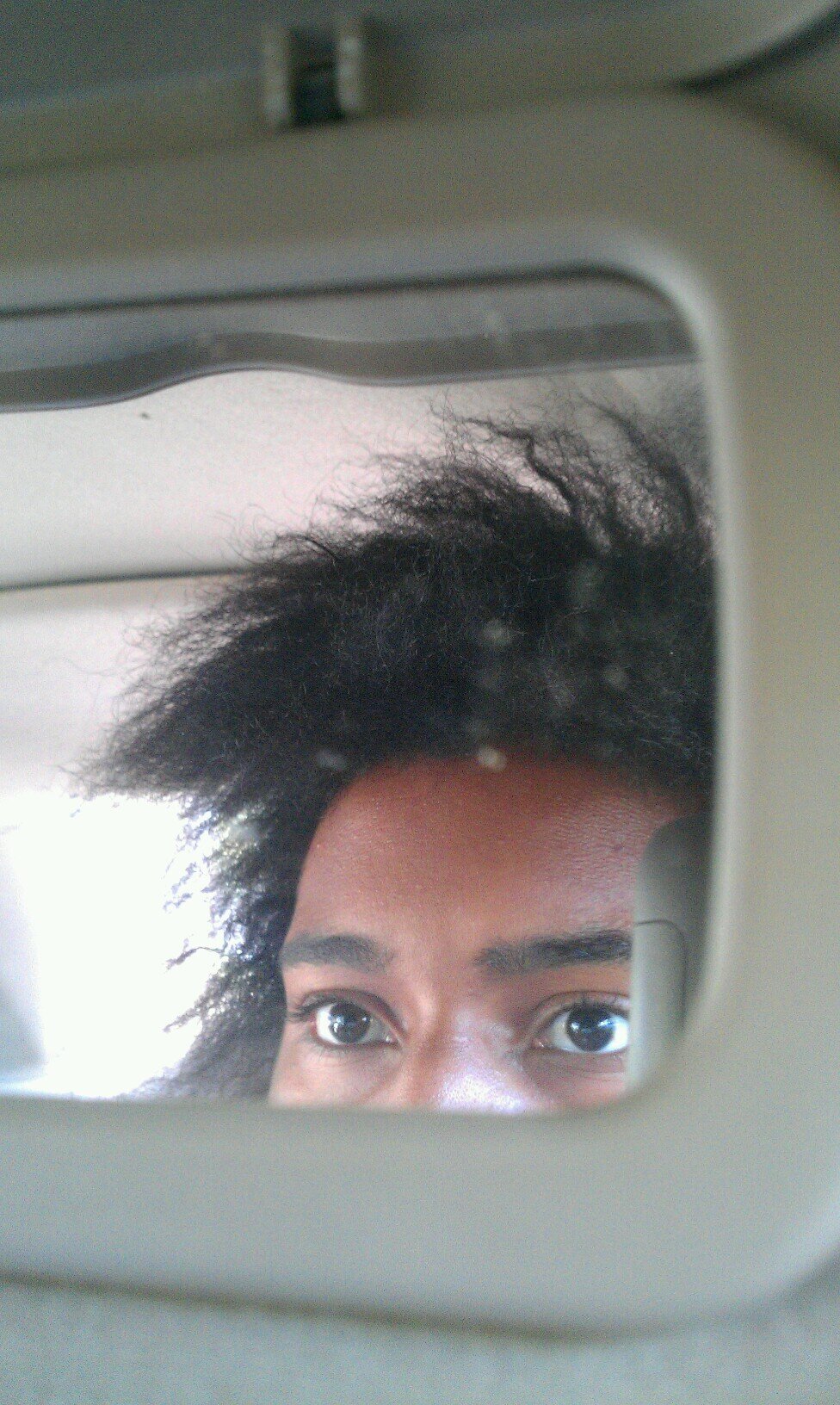 VexosRain's profile picture. 