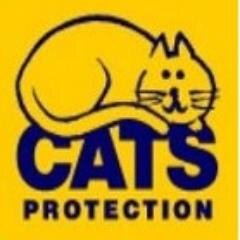 Eskdale & District Branch of Cats Protection. Supported by a dedicated team of local volunteers. Adoptions T:01228 791364 Facebook http://t.co/bdZmsEP4ag