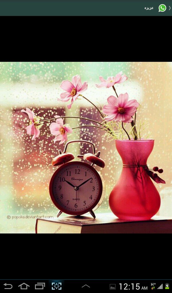 digitone8888's profile picture. أنا خطابه صدقه