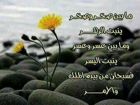 ‏‏المحترم يفرض علينا أحترامه