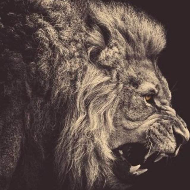 ➰ nothing but the realest kid's thoughts➰ ill ish only