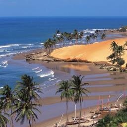 CostaKakau's profile picture. 