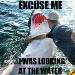 lemoncider's profile picture. ATHHHHHHINGTOFOLLOW