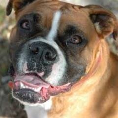 jasonhirley's profile picture. I enjoy reading, playing the guitar, spending time with my dog and family.