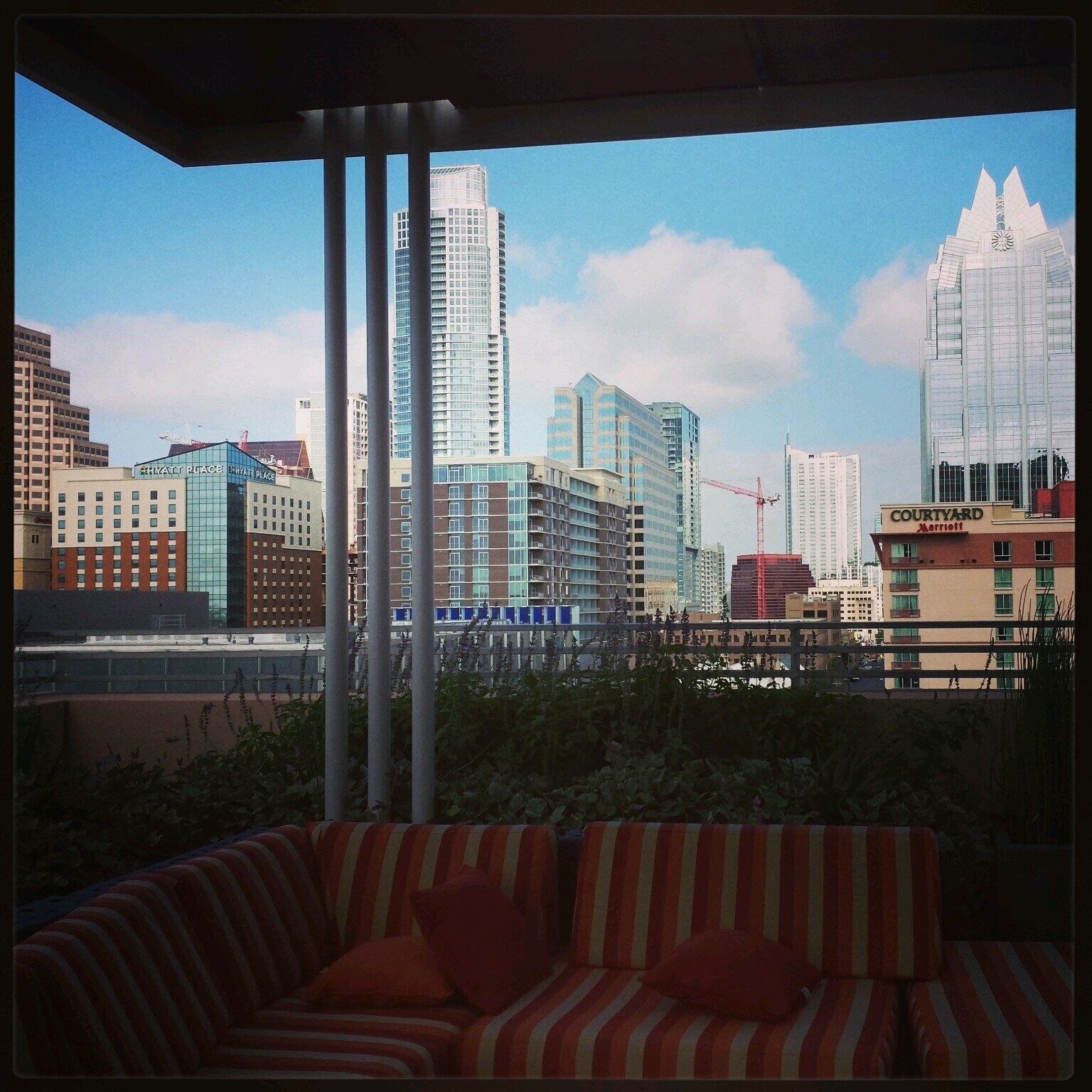 southernstar1's profile picture. don't let your past steal the present