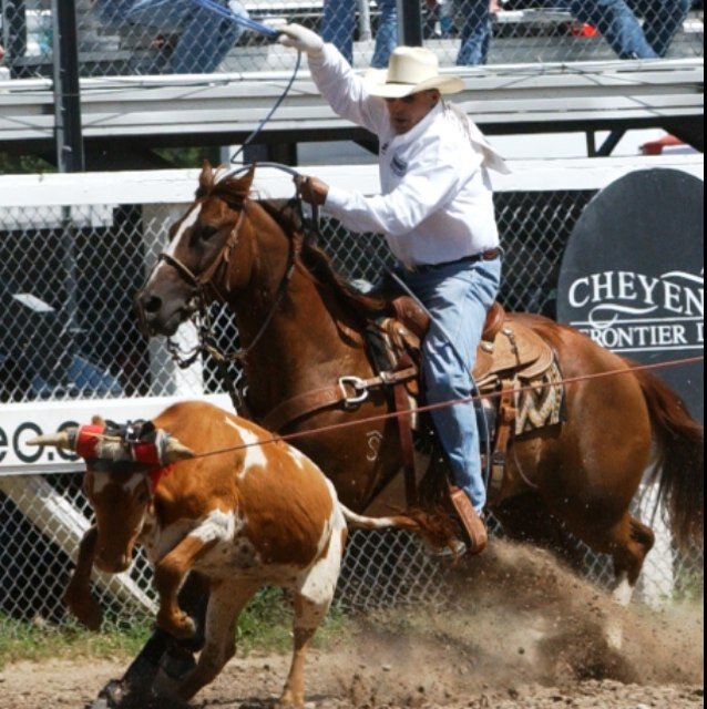 Professional Team Roper and Instructor