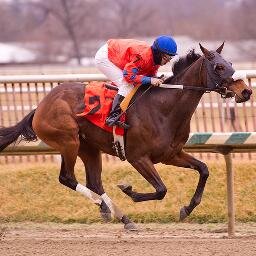 Country Life Farm & Merryland Farm are Maryland's oldest commercial Thoroughbred breeding and training facilities. We also offer shares in racing partnerships.
