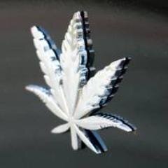 A NEW GENERATION OF POT SMOKERS HAS EMERGED.  THE SOPHISTICATED STONERS HAVE ARRIVED