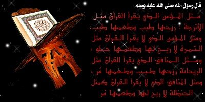 maid551's profile picture. |

الأمنية الدائمة
ربي لا تأخذني عاصياً
وخذني تواباً نقياً
أينما مُت وكيفما مُت.