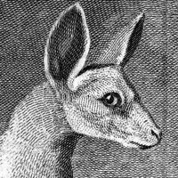 UniMelbSpC (@unimelbspc) 's Twitter Profile