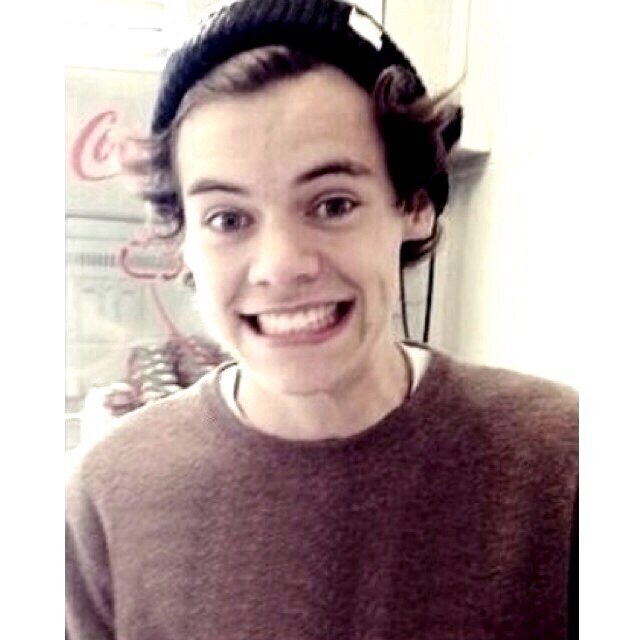 lol harry styles