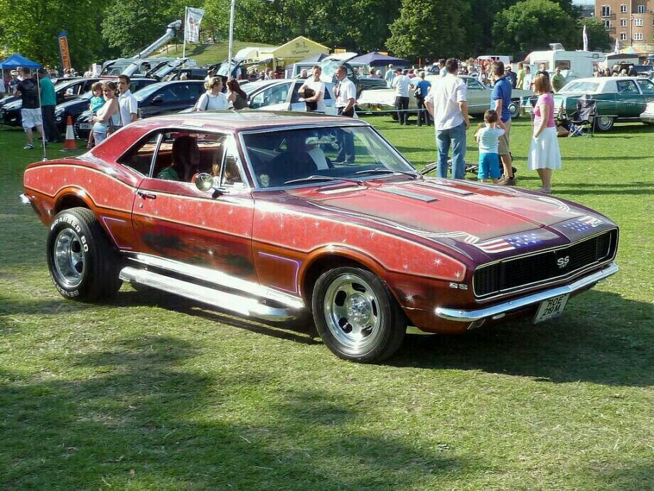 mulletman25's profile picture. 