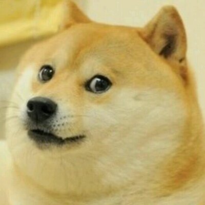 Rädd hund Rädd hund