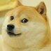 Doge (@dogethedog) Twitter profile photo