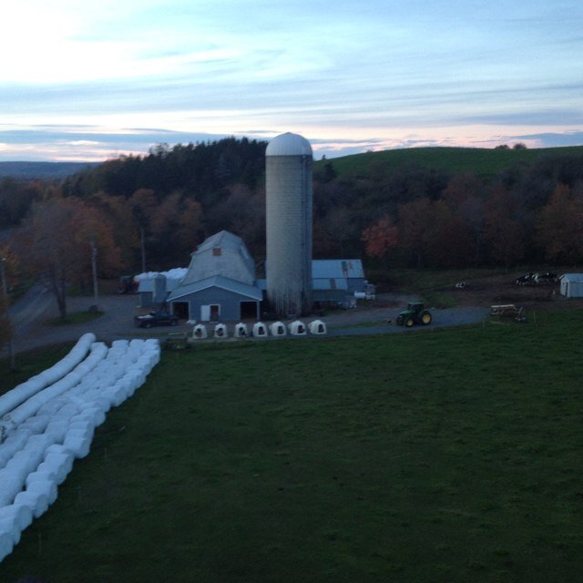 macneil_derek's profile picture. Barraville Holsteins