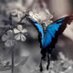 ☘️Fatma AL Abri🌱 (@soulalabri) Twitter profile photo ☘️Fatma AL Abri🌱 (@soulalabri) Twitter profile photo