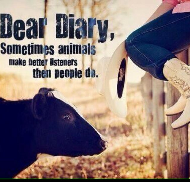 Just a livestock shower tweeting the thoughts that go through every stock show kids head.Header is @StratfordTaylor 's photo.
