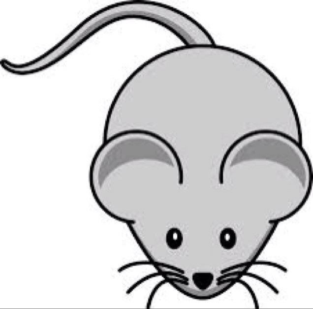 Squeak