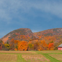 HamdenWeather's profile picture. Providing live weather, forecasts, and observations in Hamden, Connecituct - Davis Vantage Pro2 Plus