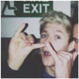 vc acha mesmo q eu curto essa vida de niall girl