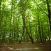 Environmental Tweets (@environtweets) Twitter profile photo Environmental Tweets (@environtweets) Twitter profile photo