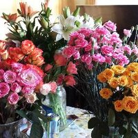 Zeynep (@zeynepsakgo) 's Twitter Profile