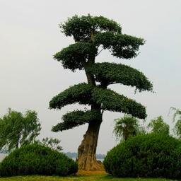 pkns012's profile picture. Силикон и полиуретан решение для бизнеса