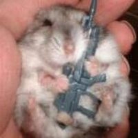 NuclearST (@nuclearst) 's Twitter Profile