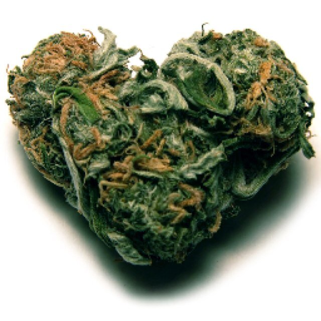 FOLLOW even if your not a STONER!!! #StonerNation