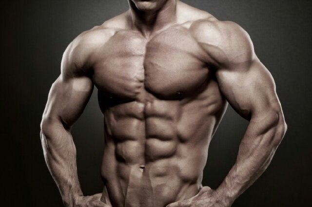 Body Muscle Mind Gym Motivation Physique Inspirational Body - Informal